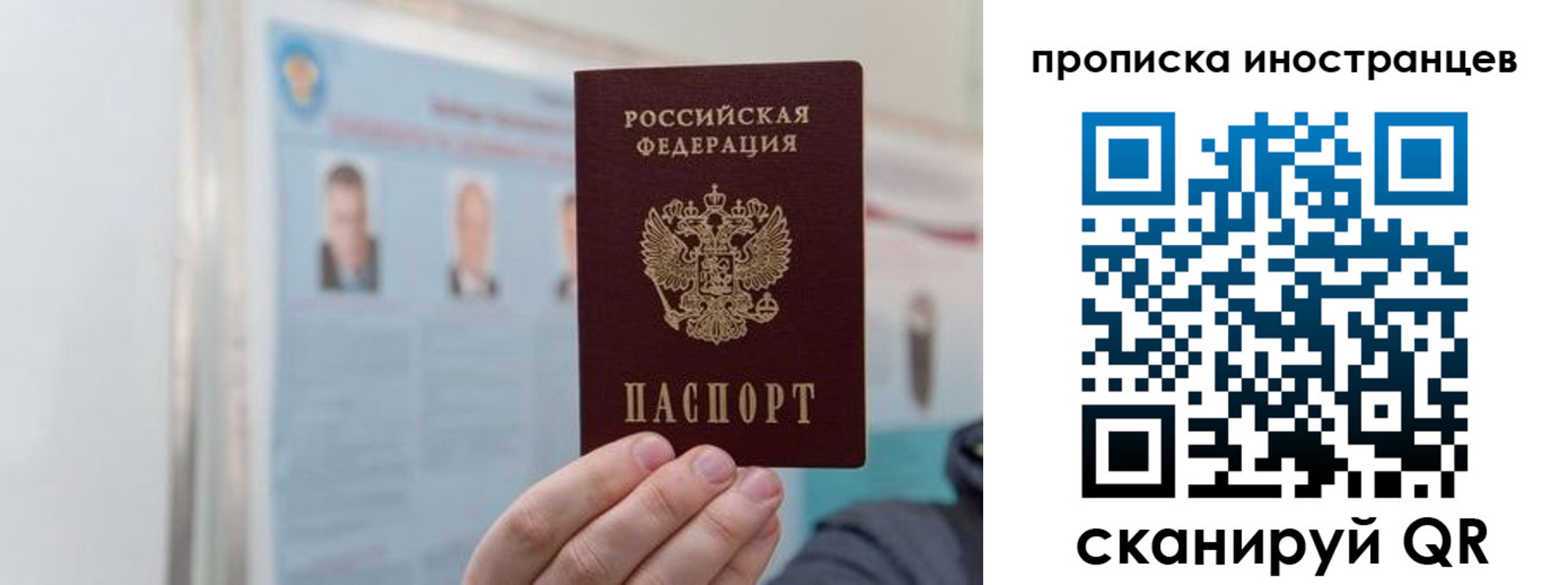 прописка паспорт в Ленинградской области